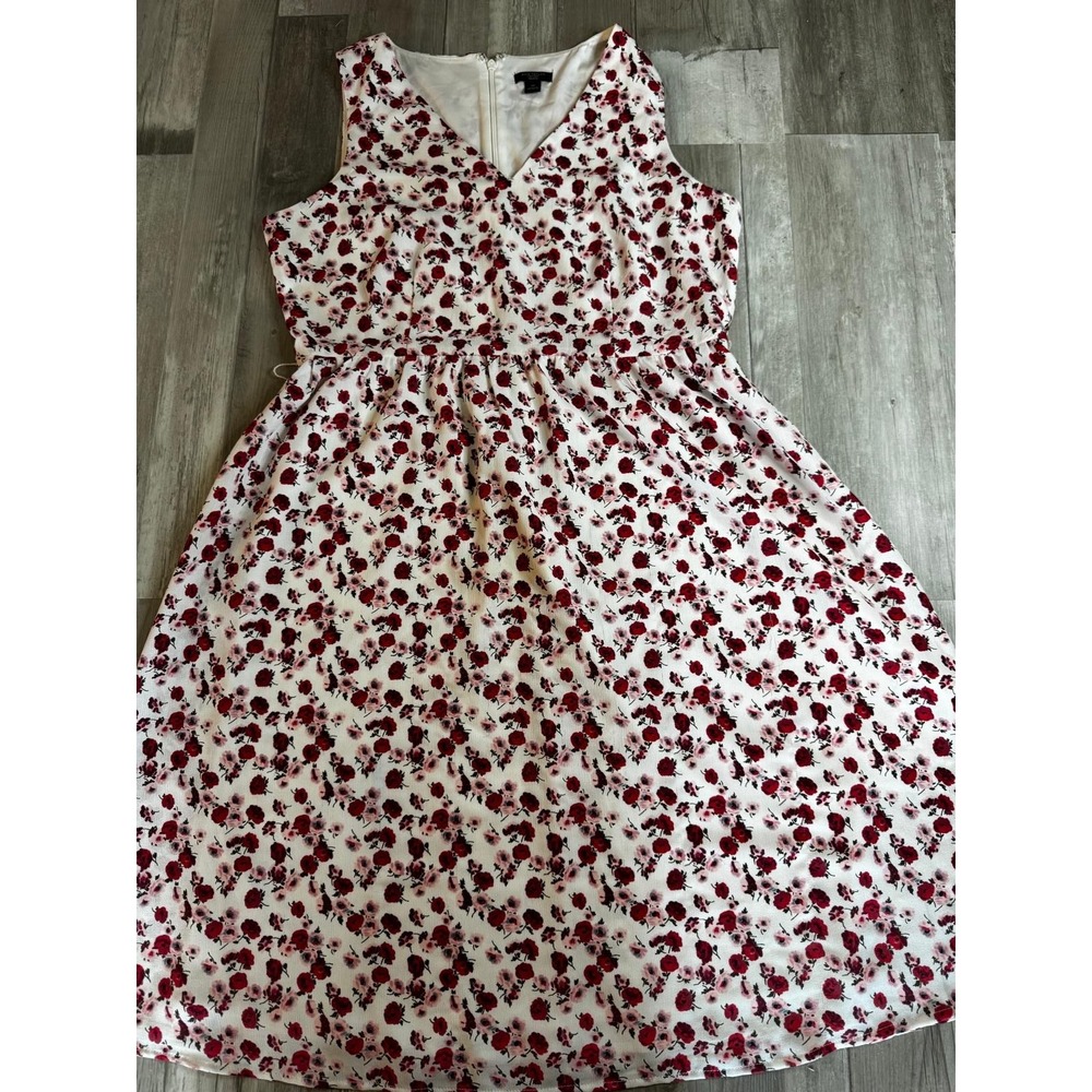 Ann Taylor Factory Floral V-Neck Fit-and-Flare Dress 10P Petite